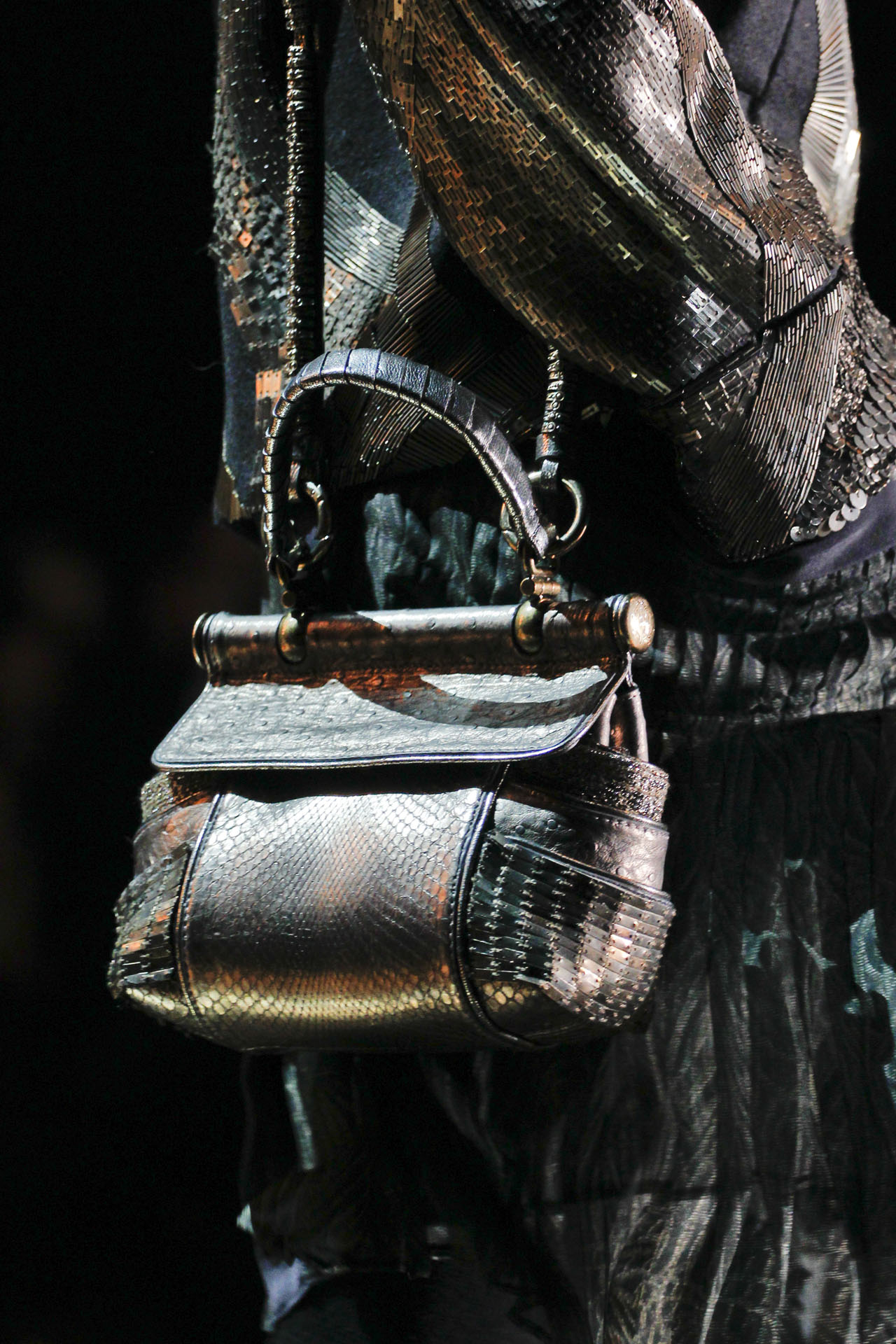 Roberto Cavalli 2011ﶬDƬ