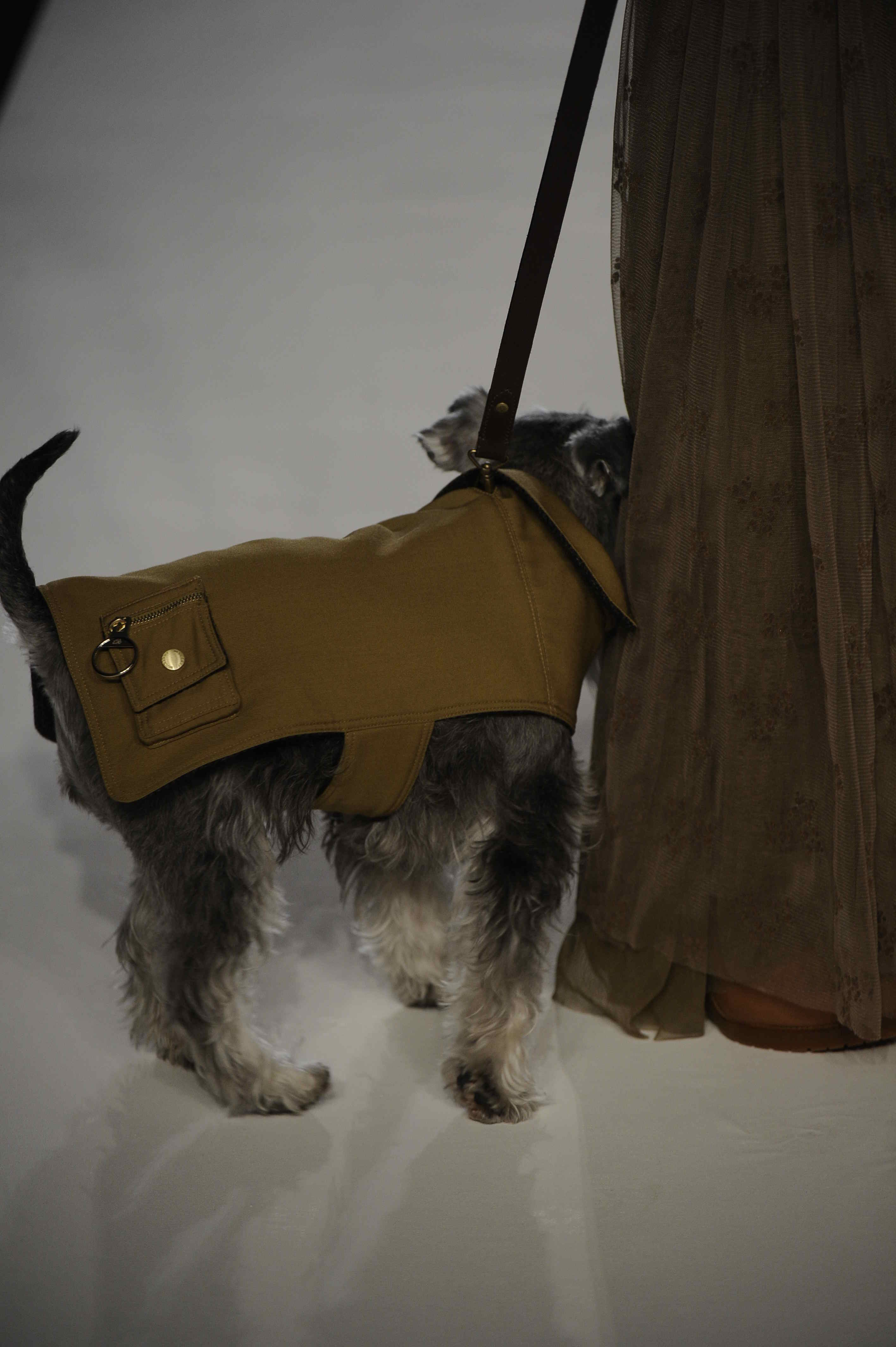 Mulberry 2011ﶬŮʿDƬ