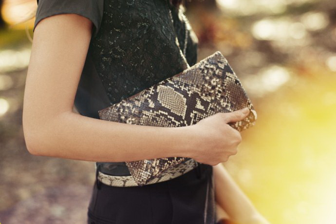 Ann Taylor 2011ﶬ LookBookDƬ