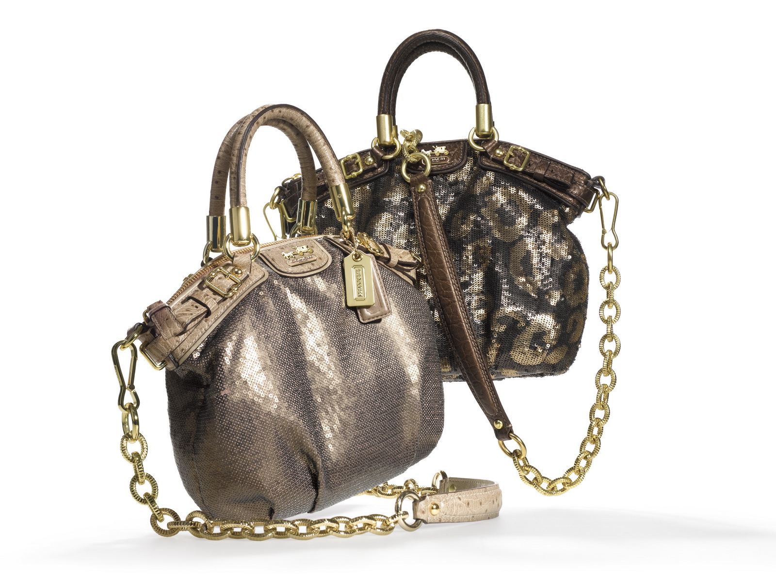 COACH 2011ﶬŮʿ LookbookDƬ