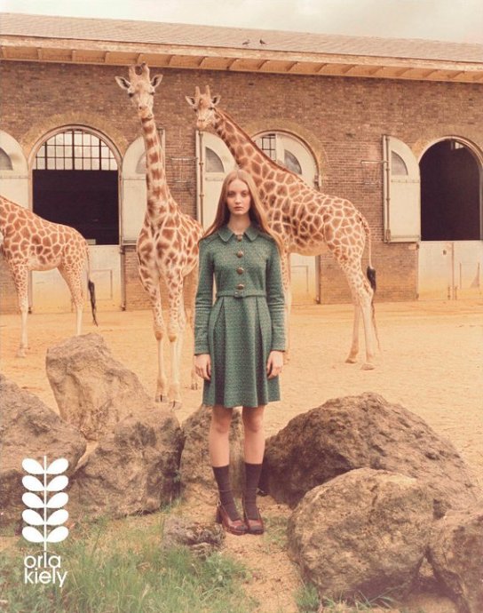 Orla Kiely 2011ﶬ LookBook DƬ