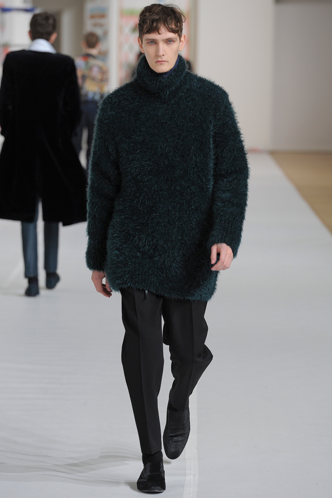Dries Van Noten 2012ﶬbDƬ