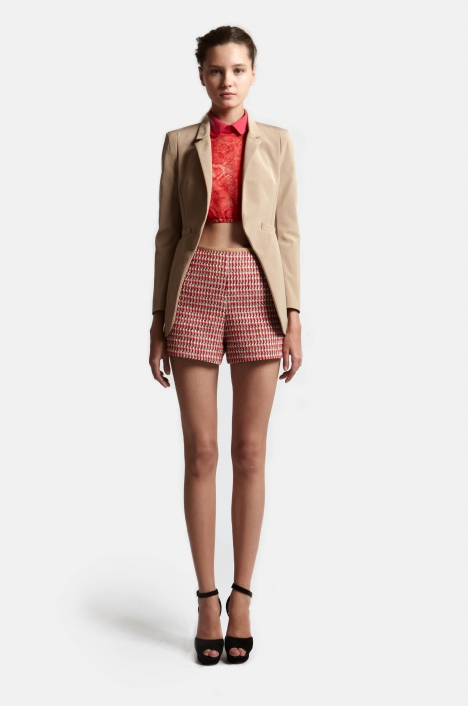 Carven 2012Lookbook DƬ