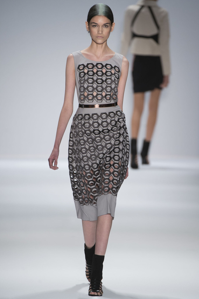 Vivienne Tam 2013DƬ