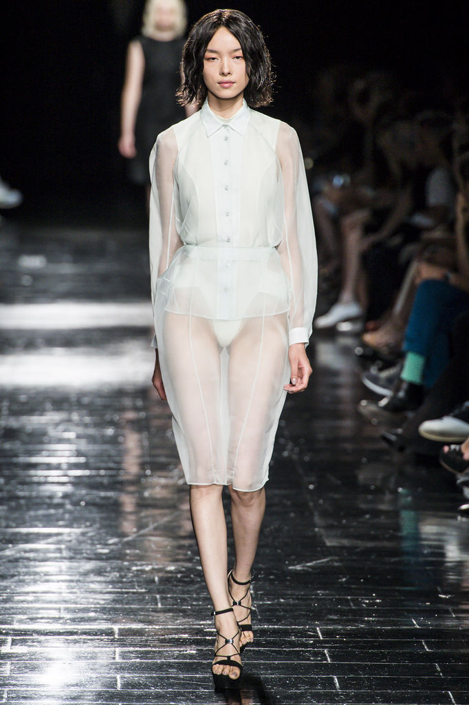 Theyskens Theory 2013DƬ