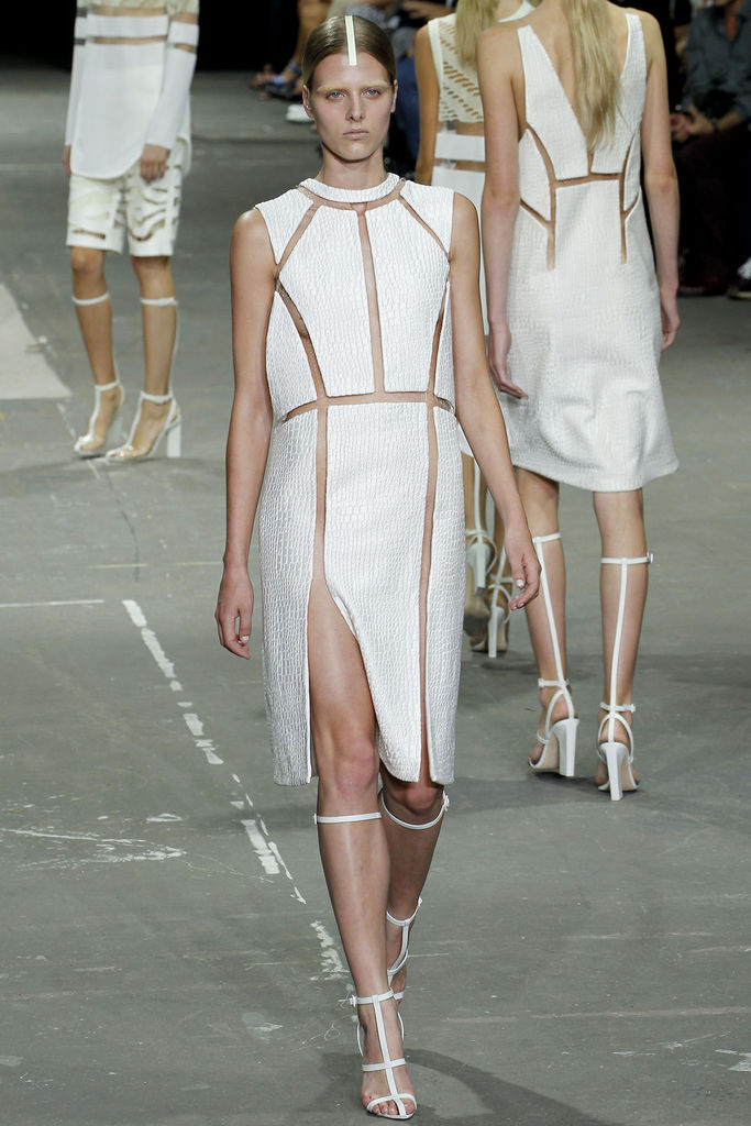 Alexander Wang 2013DƬ