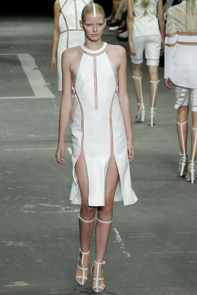 Alexander Wang 2013DƬ