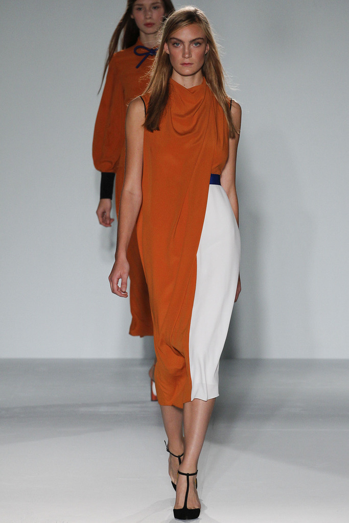 Roksanda Ilincic 2013DƬ