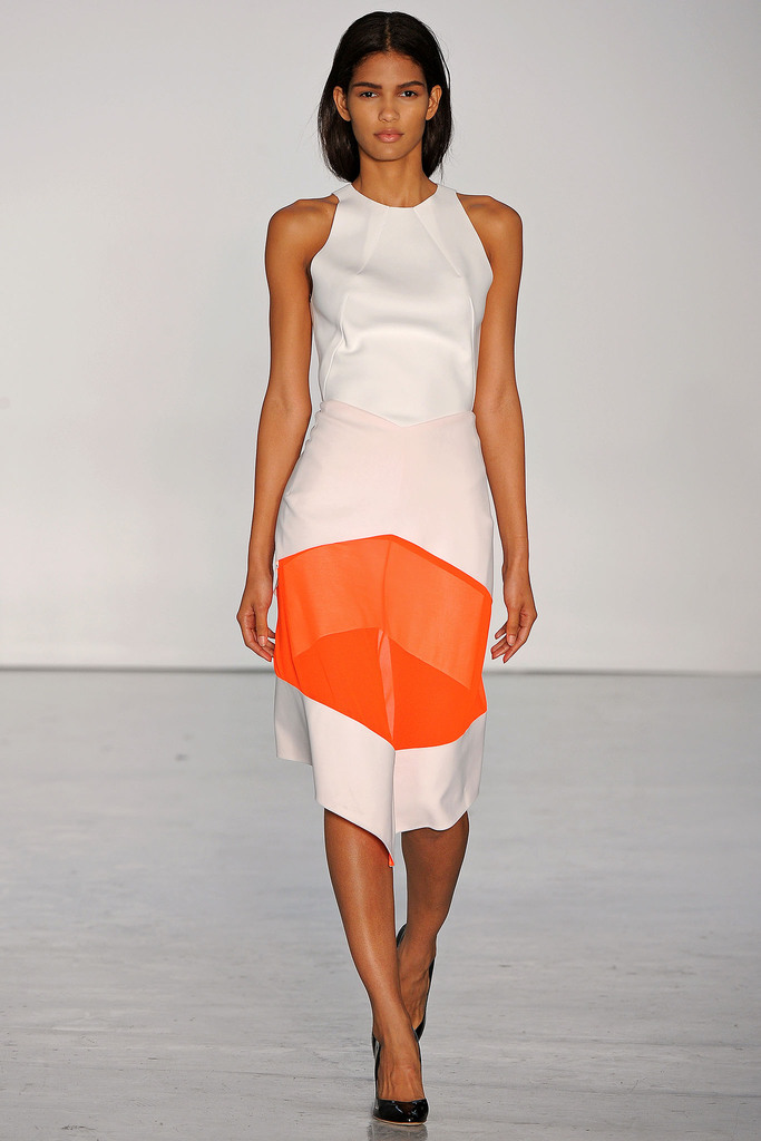 Dion Lee 2013DƬ