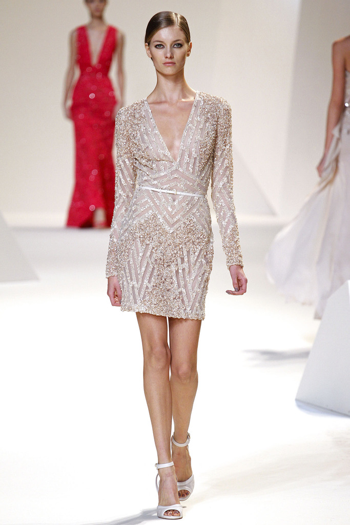 Elie Saab 2013DƬ