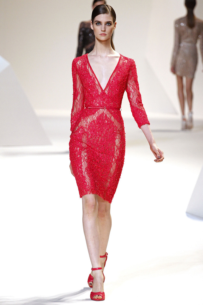Elie Saab 2013DƬ