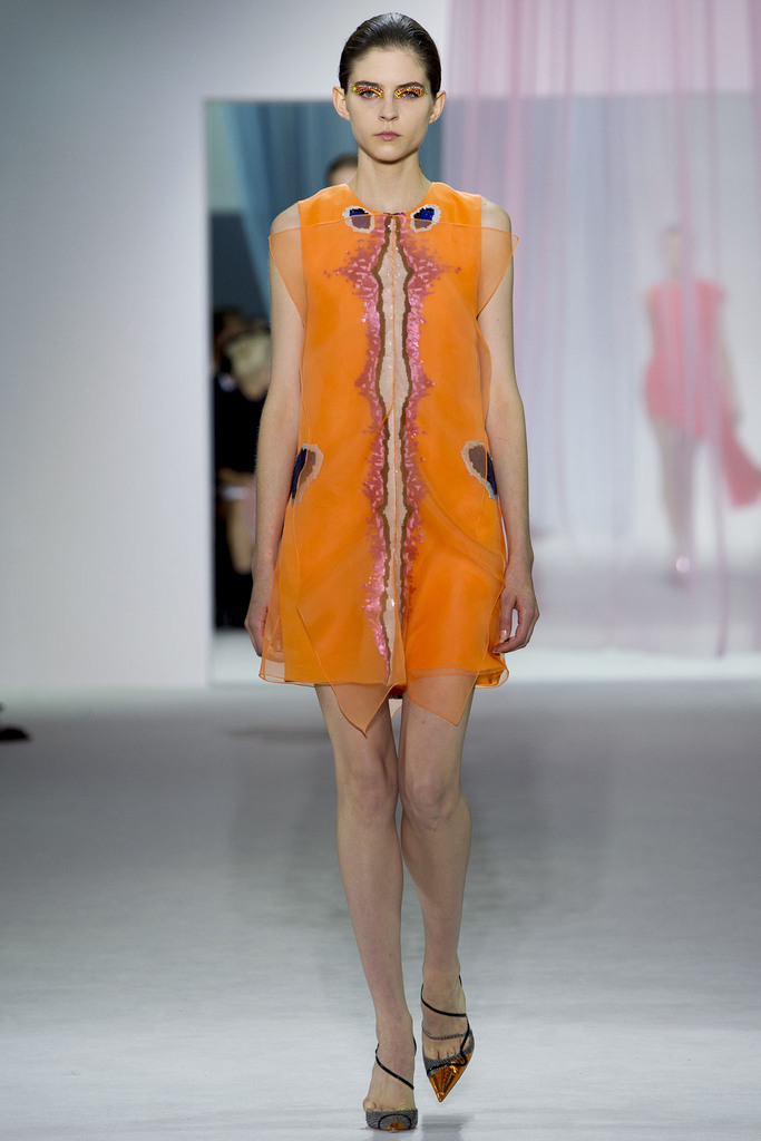 Christian Dior 2013(chng)DƬ